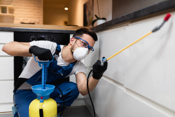 Best Emergency Pest Control  in Onancock, VA