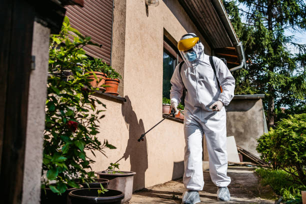 Best Pest Control Near Me  in Onancock, VA