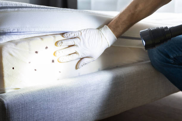 Best Best Pest Control Companies  in Onancock, VA
