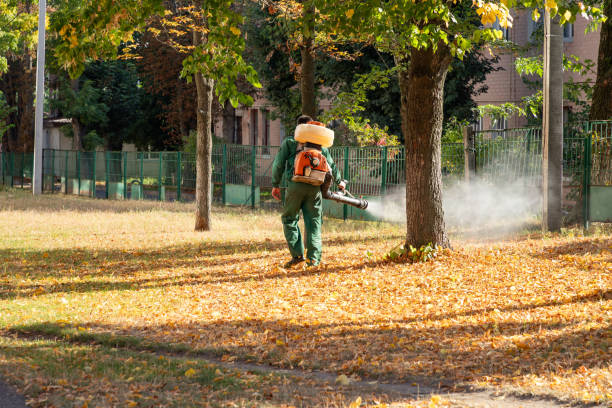 Best Local Pest Control Services  in Onancock, VA