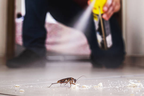 Best Pest Prevention Services  in Onancock, VA